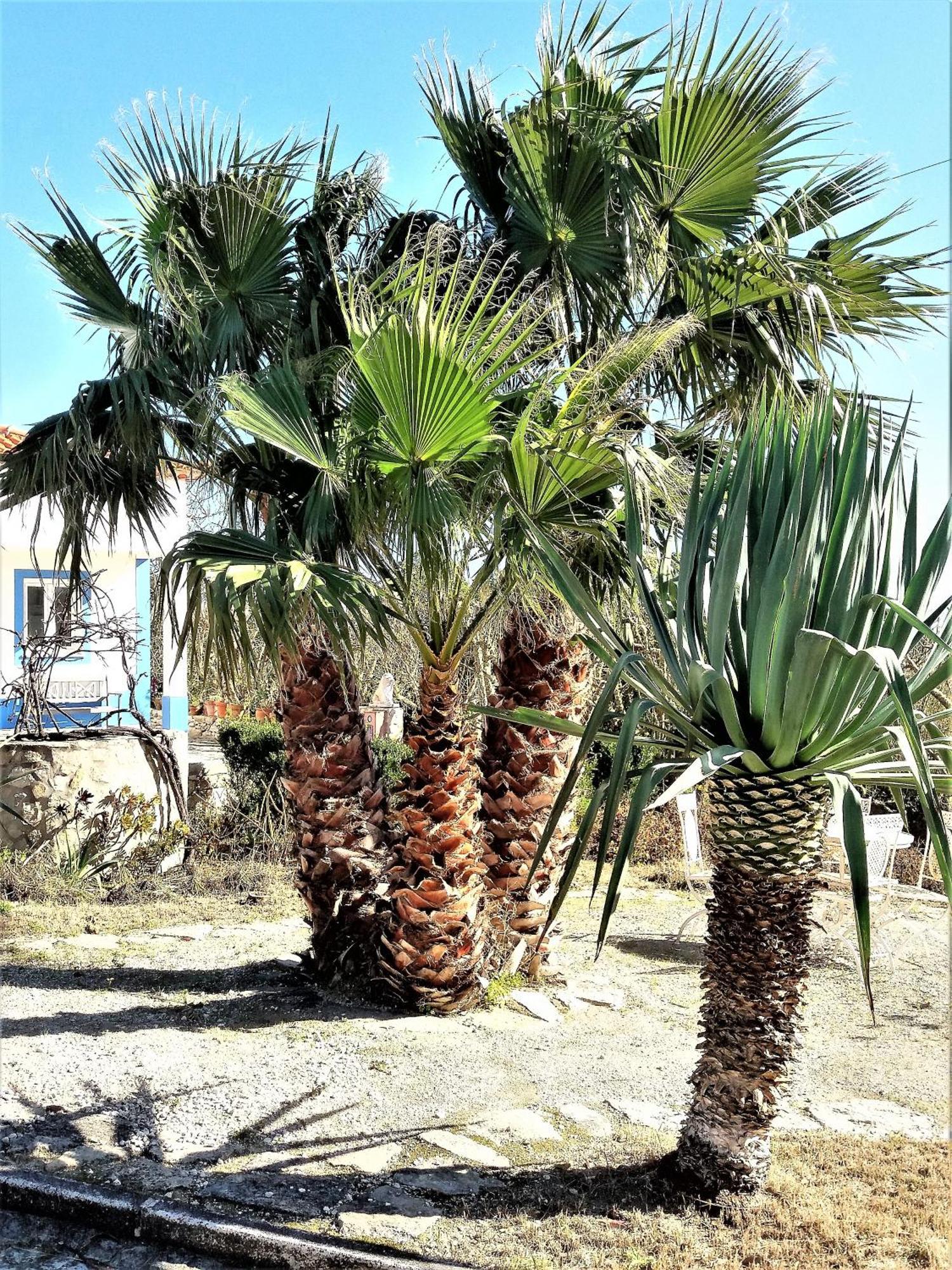 Serra de ManguesAgua Rocha别墅 客房 照片